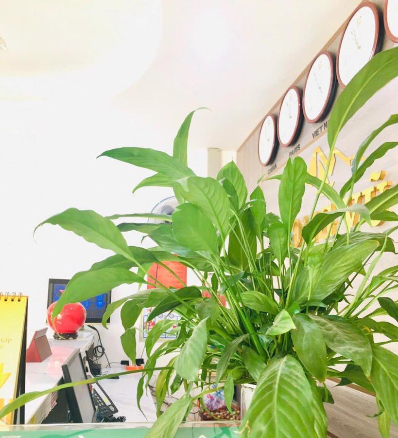 Long Vu Hotel Lang Son 外观 照片